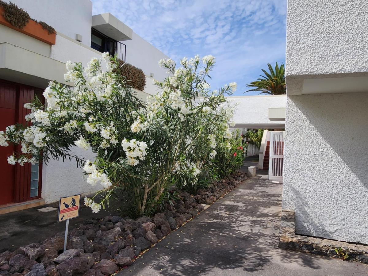 Ferienwohnung Casa De Mariposas Costa Del Silencio Exterior foto